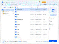 EaseUS Data Recovery Wizard Professional ŐV