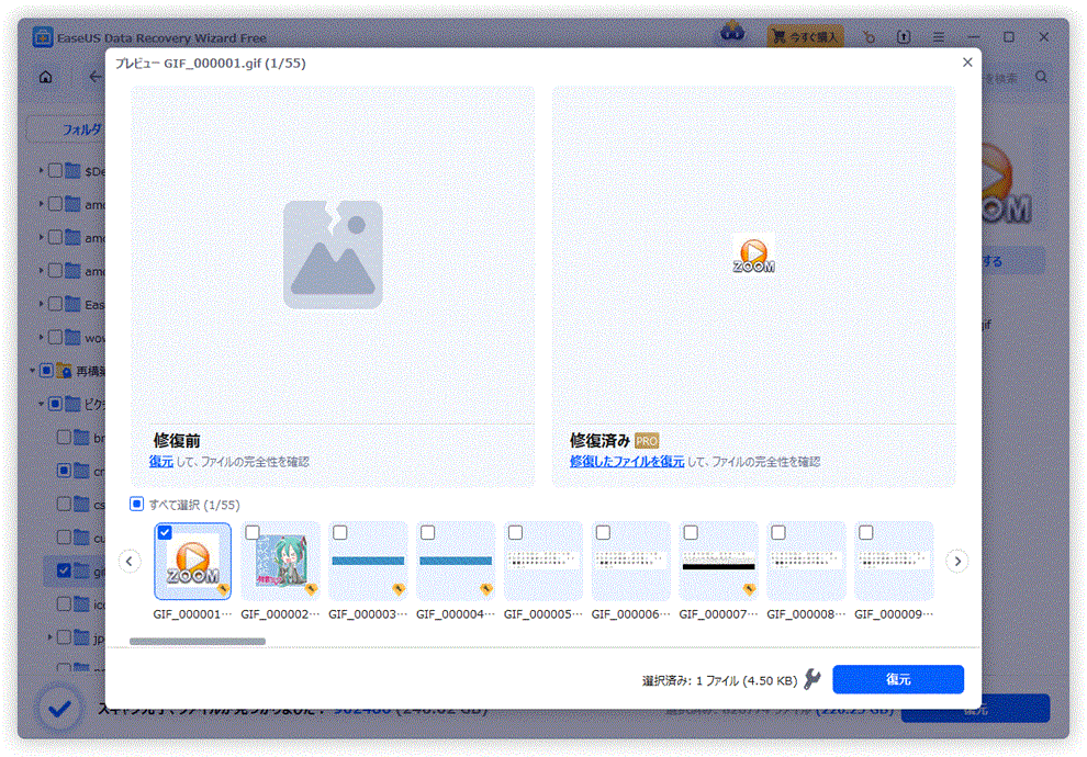EaseUS Data Recovery Wizard Professional ŐV 1CZX [1]